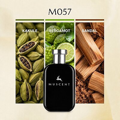 M057 Sun Men - MUSCENT