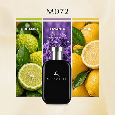 M072 V For Men - MUSCENT