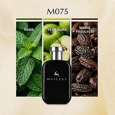 M075 Eross Men - MUSCENT