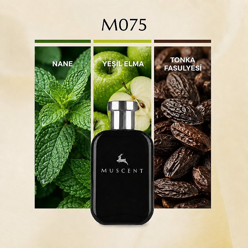 M075 Eross Men - 1