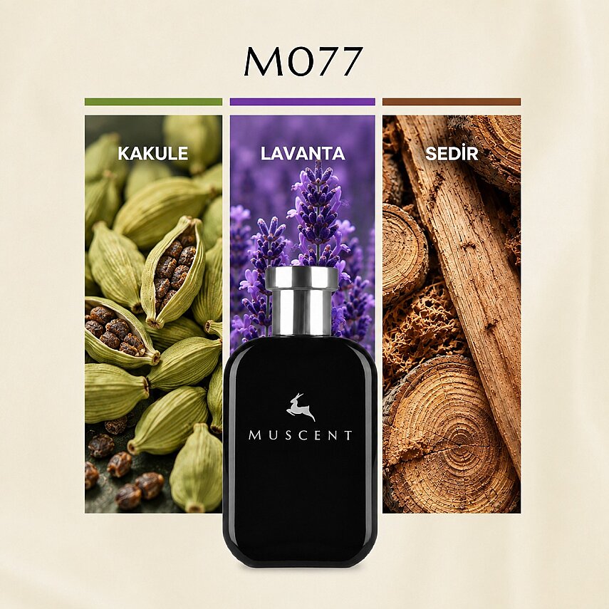 M077 NuitDelHome - 1