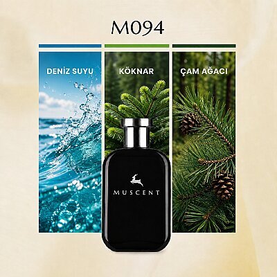 M094 K Pour Homme - MUSCENT