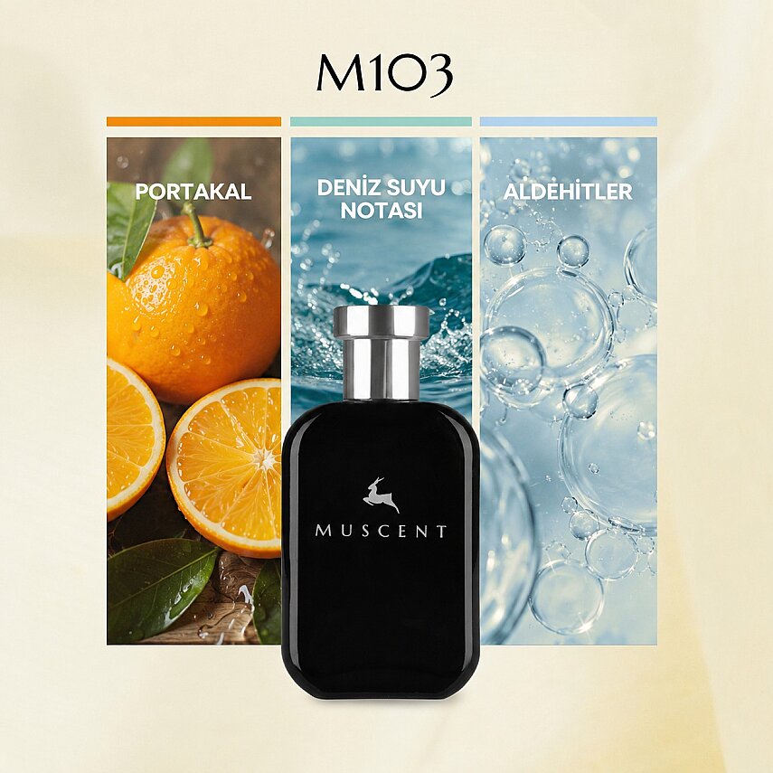 M103 Alur Sport - 1