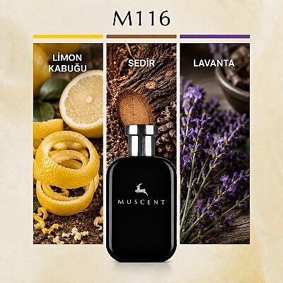 M116 Blue Parfum - MUSCENT