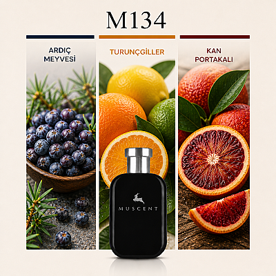M134 K - MUSCENT