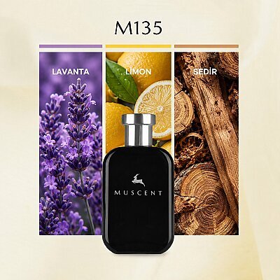 M135 Gouilty PH - MUSCENT