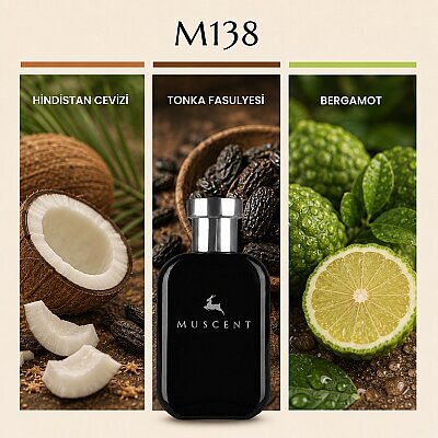 M138 L Beau - MUSCENT