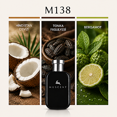 M138 L Beau - MUSCENT