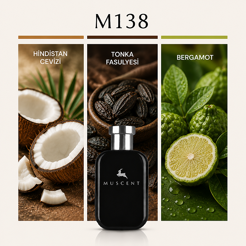 M138 L Beau - 1