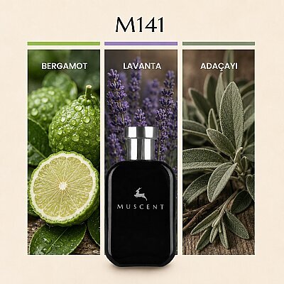 M141 Y EDT - MUSCENT