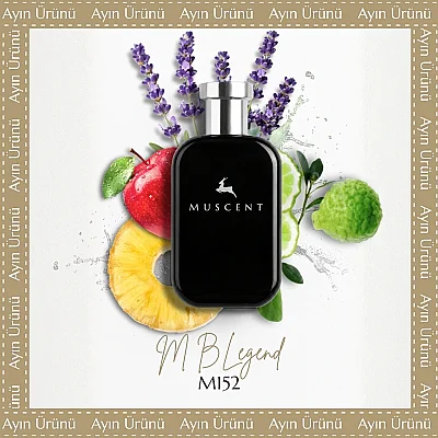 M152 M BLegend - 1