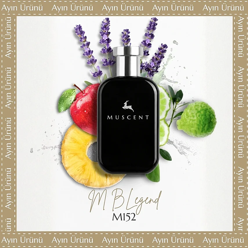 M152 M BLegend - 1