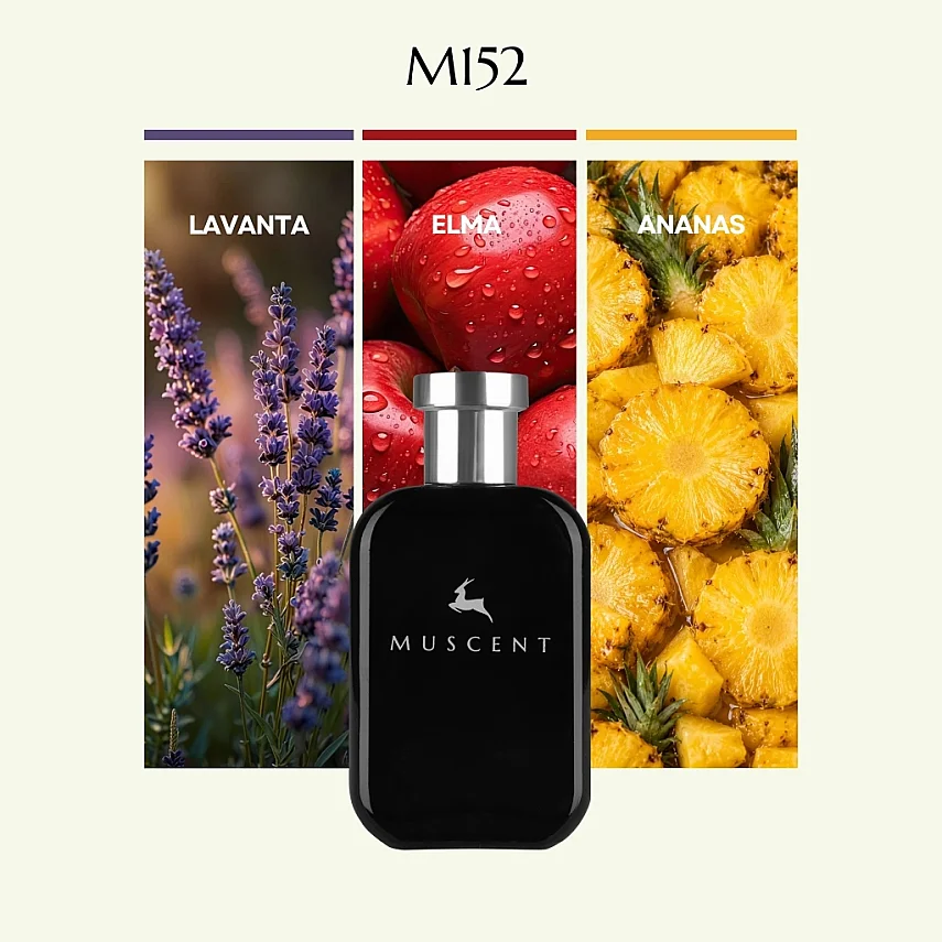 M152 M BLegend - MUSCENT