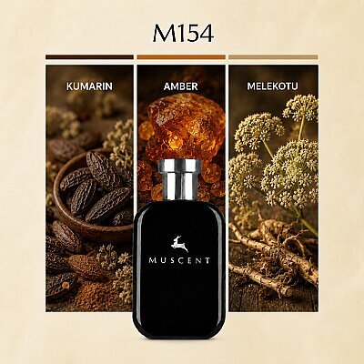 M154 L Rosa Black - MUSCENT
