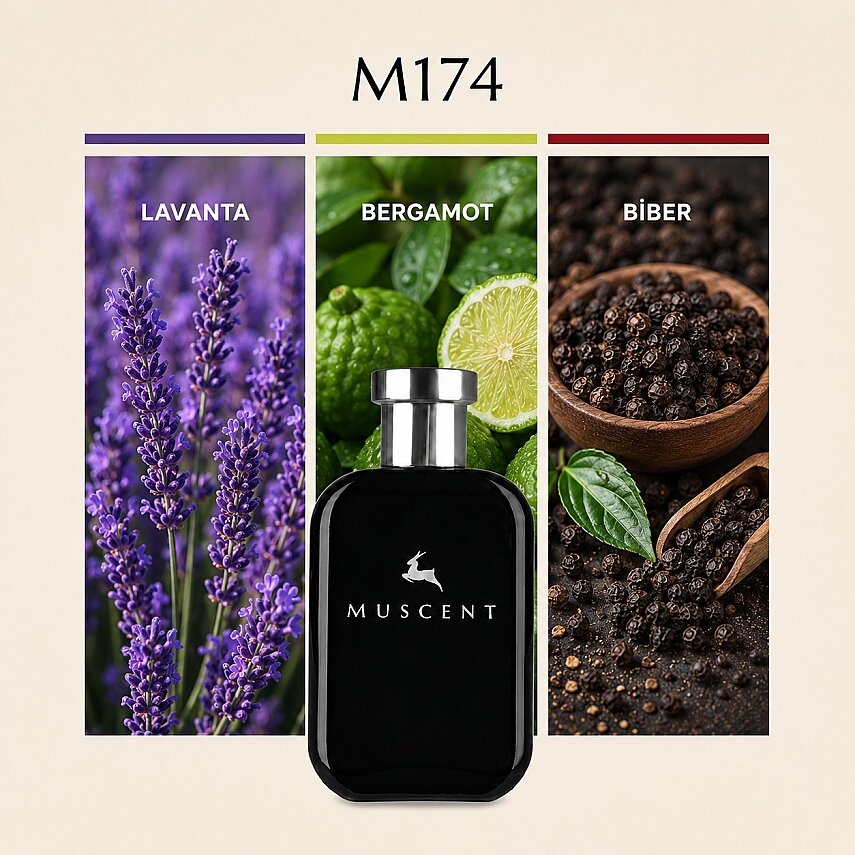 M174 LRCarbon - 1
