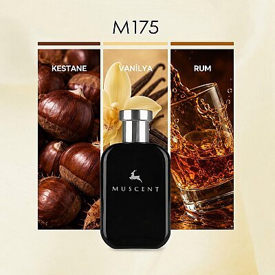 M175 Stronger Abs - MUSCENT