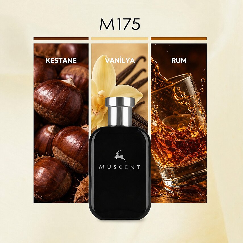 M175 Stronger Abs - 1