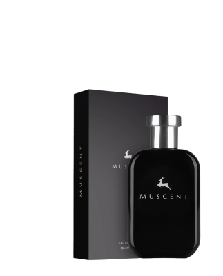 M176 Y EDP - MUSCENT