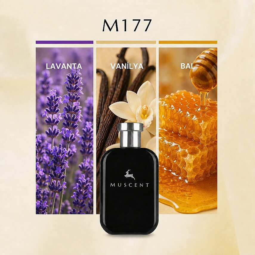 M177 LMale Elixir - 1