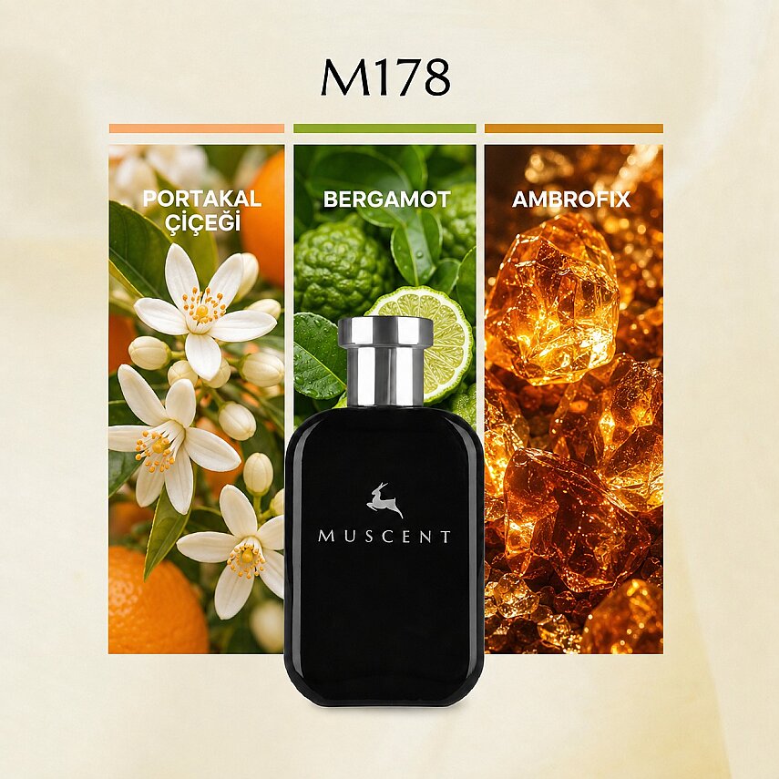 M178 Myself EDP - 1