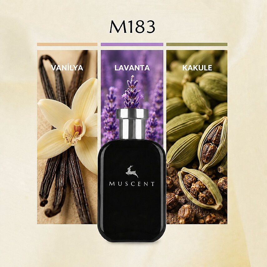 M183 Titanium - 1
