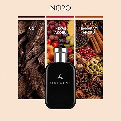 N020 MTW - MUSCENT