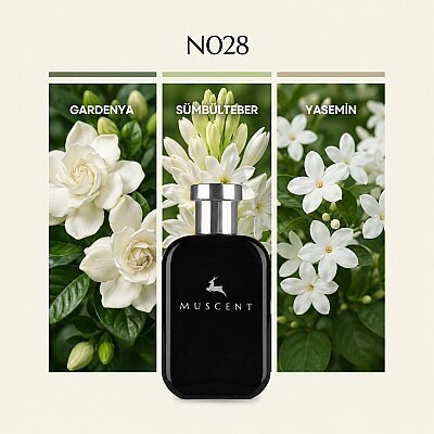 N028 Honour W - MUSCENT