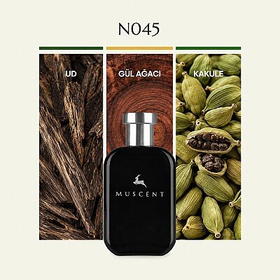 N045 Oudy Wood - MUSCENT