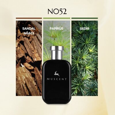 N052 Sandal 333 - MUSCENT (1)