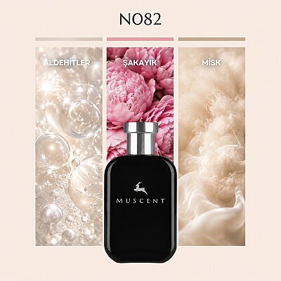 N082 Dia Women - MUSCENT
