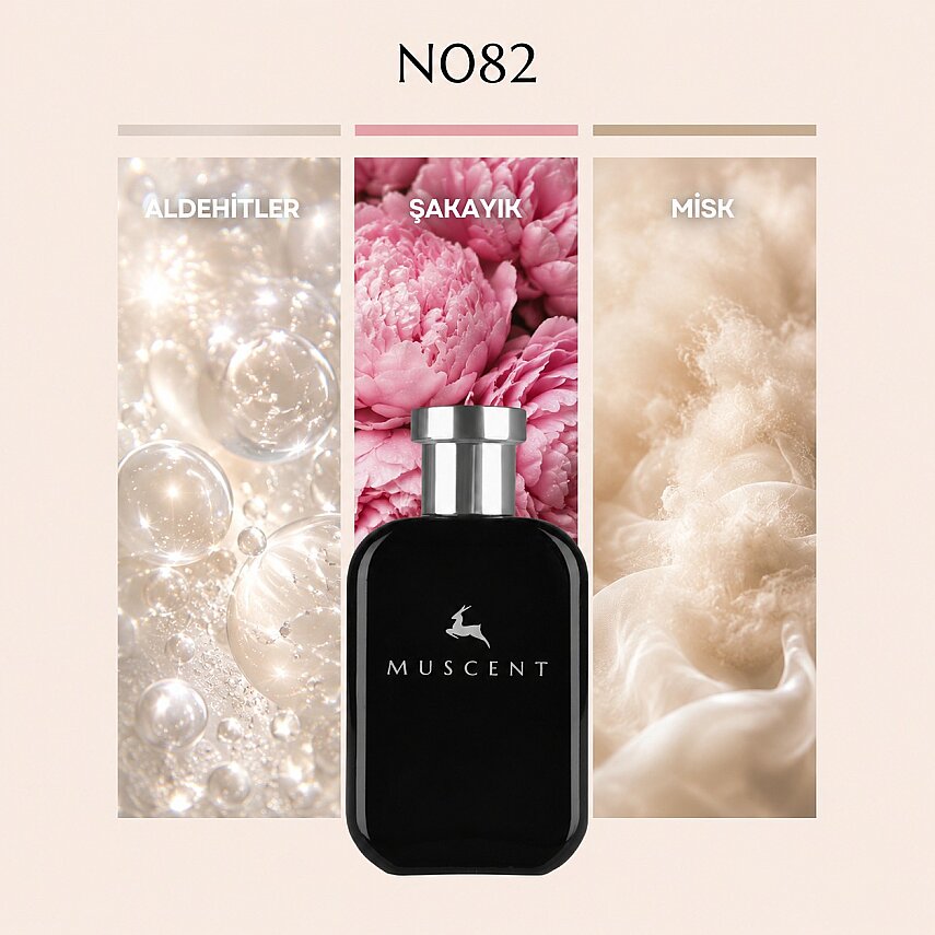 N082 Dia Women - 1
