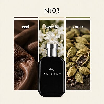 N103 Ombré Leat - MUSCENT