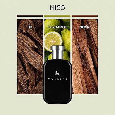 N155 Oud Bergmt - MUSCENT