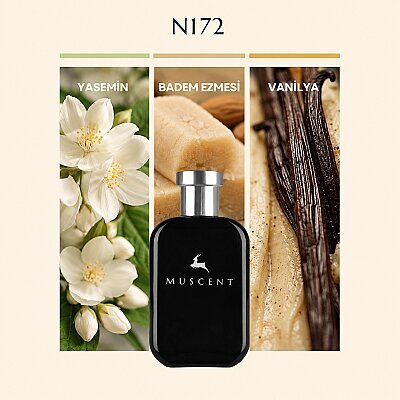 N172 Jasmins Marz - 1