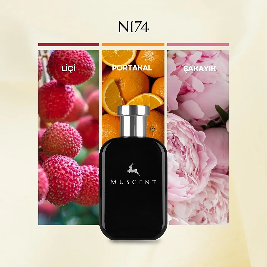 N174 F Narcotique - 3