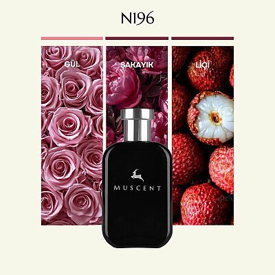 N196 Dellin - MUSCENT