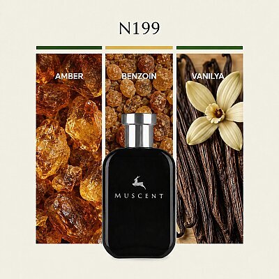 N199 GSoir - MUSCENT