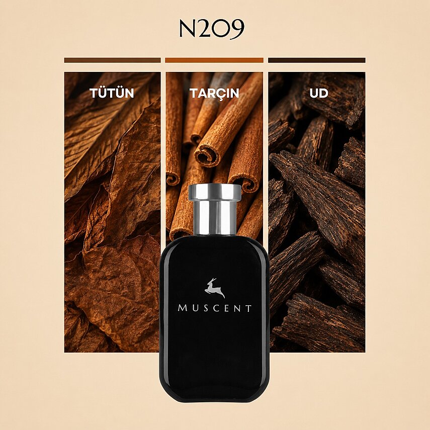 N209 Red Tabacc - 1