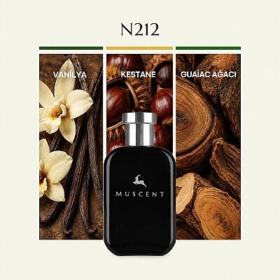 N212 Fireplace - MUSCENT
