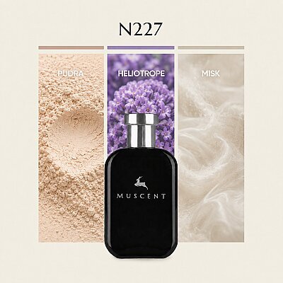 N227 Teint Neig - MUSCENT