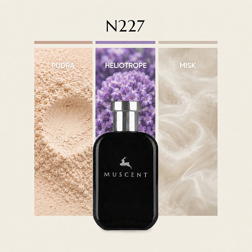 N227 Teint Neig - 1