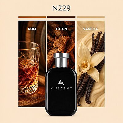 N229 Jazzy Club - 1
