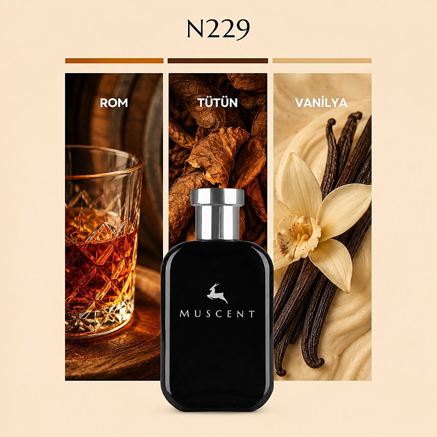 N229 Jazzy Club - 1