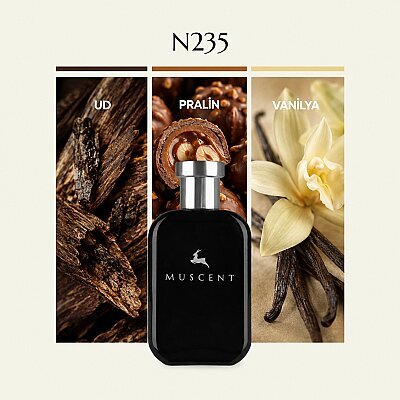 N235 Oud Buquet - MUSCENT
