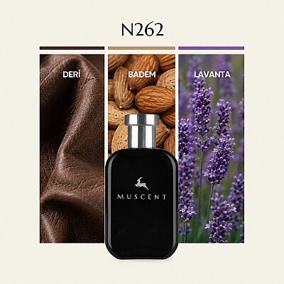N262 F Fabulous - MUSCENT