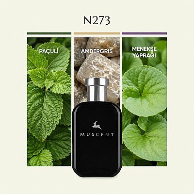 N273 Tuksedo - MUSCENT