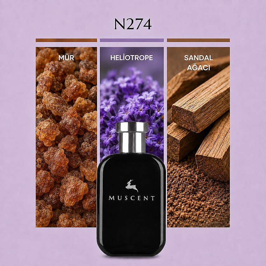 N274 Psy Love - 1