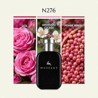 N276 NoMan sLand - MUSCENT