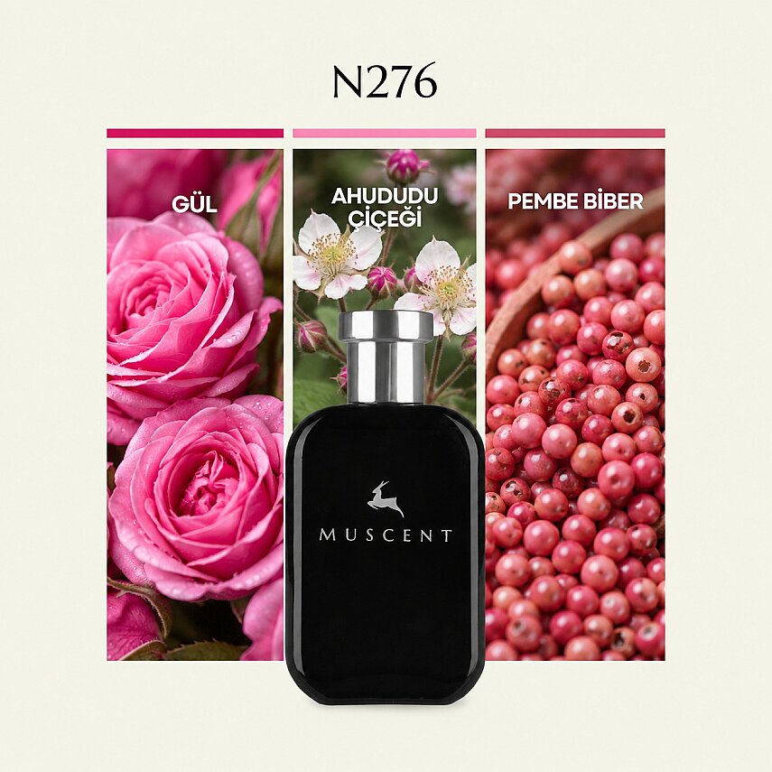 N276 NoMan sLand - 1