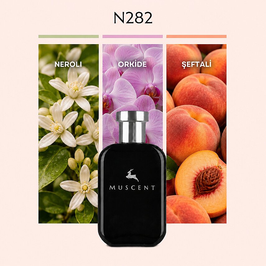 N282 Neroli Orchide - 1